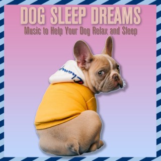 Dog Sleep Dreams: Music to Help Your Dog Relax and Sleep