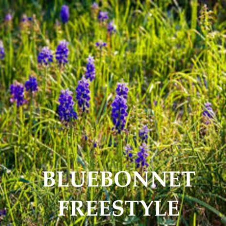 Bluebonnet Freestyle 9-21 | Boomplay Music