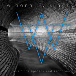 Music For Spiders And Raccoons