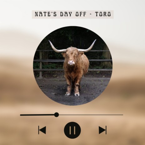 Toro | Boomplay Music