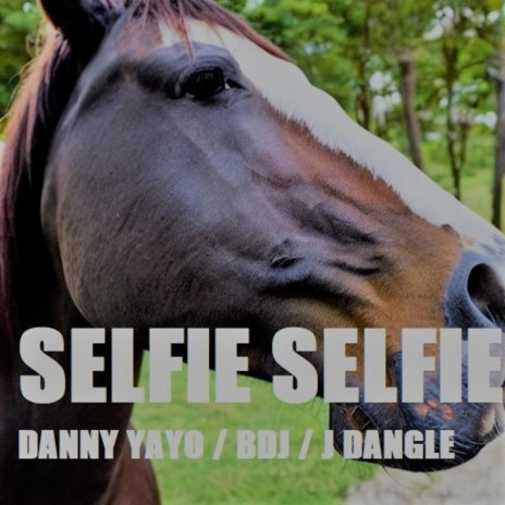 Selfie Selfie ft. Danny Yayo & BDJ | Boomplay Music