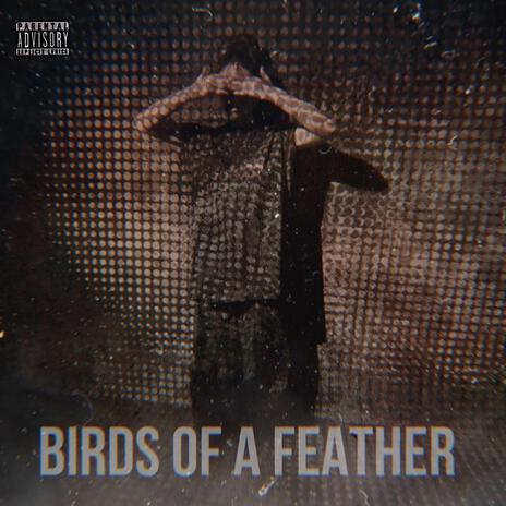 BIRDS OF A FEATHER | Boomplay Music