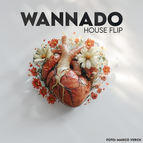 Wannado (House Flip) | Boomplay Music