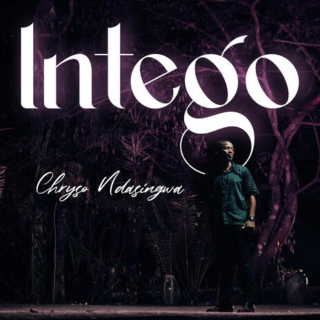 Intego | Boomplay Music