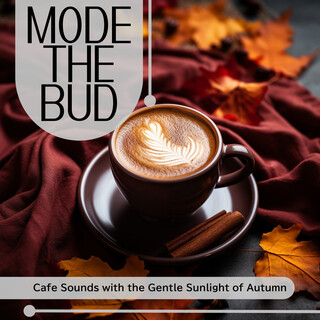 Cafe Sounds with the Gentle Sunlight of Autumn