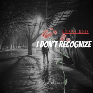 I Don't Recognize lyrics | Boomplay Music