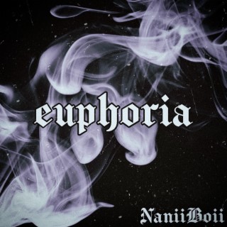 Euphoria lyrics | Boomplay Music