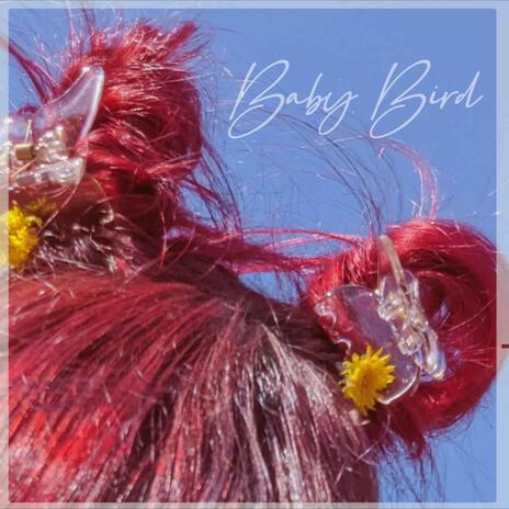 baby bird | Boomplay Music