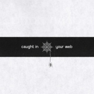 Caught in Your Web