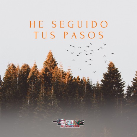 He Seguido Tus Pasos | Boomplay Music