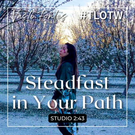 Steadfast In Your Path | Boomplay Music