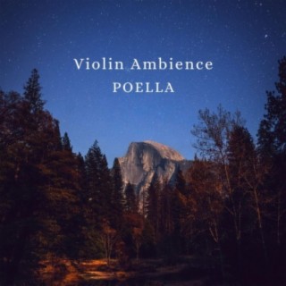 Violin Ambience