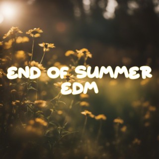 End Of Summer EDM