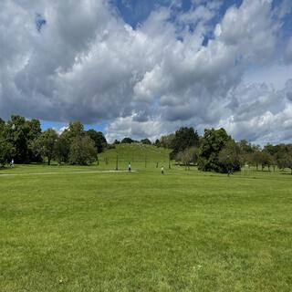 Springtime on Primrose Hill