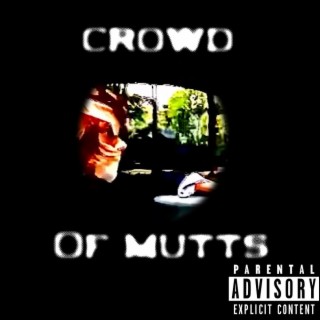 Crowd Of Mutts