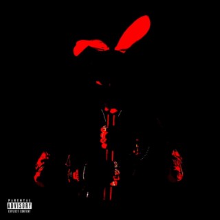Bunny Girl lyrics | Boomplay Music