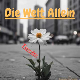 Die Welt Allein