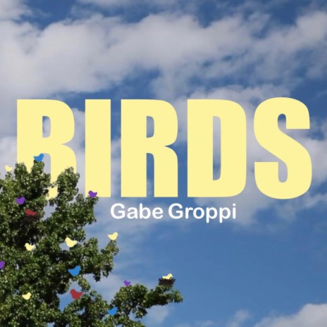 BIRDS ft. Gabe Groppi | Boomplay Music