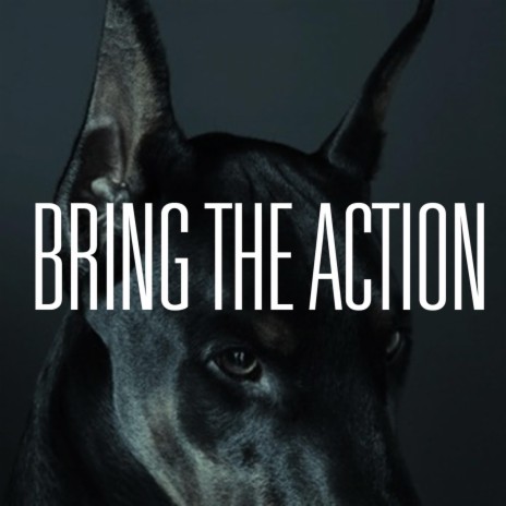 Bring The Action | Boomplay Music