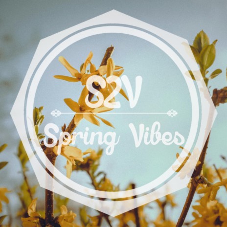 Spring Vibes | Boomplay Music