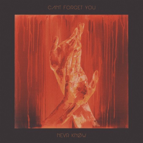 Can't Forget You | Boomplay Music