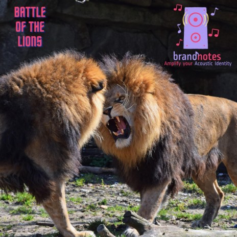 Battle of the Lions | Boomplay Music