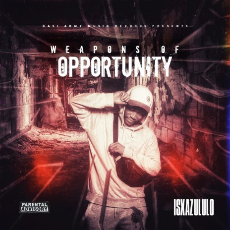 Weapons of Opportunity | Boomplay Music