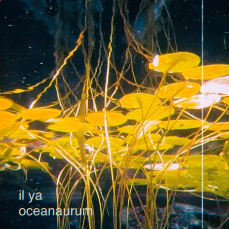 oceanaurum | Boomplay Music