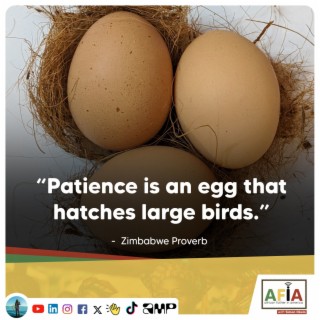 Patience is an Egg That Hatches Large Birds | Zimbabwe Proverb | AFIAPodcast
