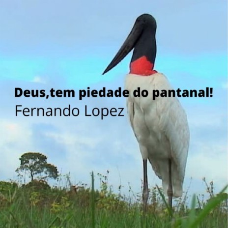 Deus, Tem Piedade do Pantanal | Boomplay Music