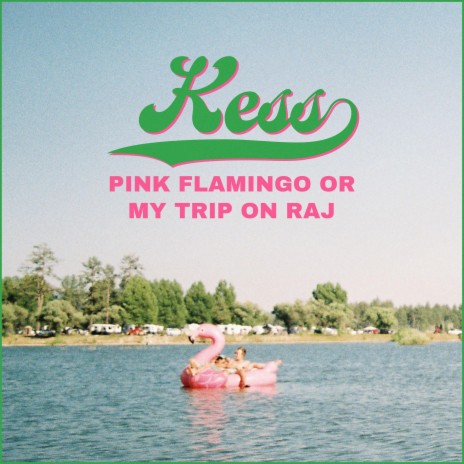 Pink Flamingo or My Trip on Raj | Boomplay Music