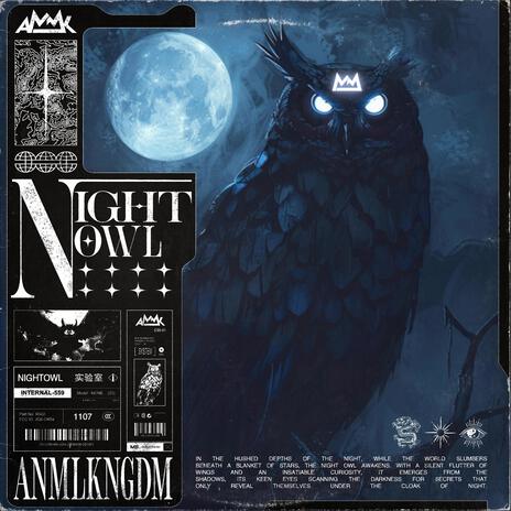 Night Owl | Boomplay Music