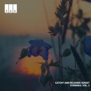 Catchy and Relaxing Sunset Evenings, Vol. 3