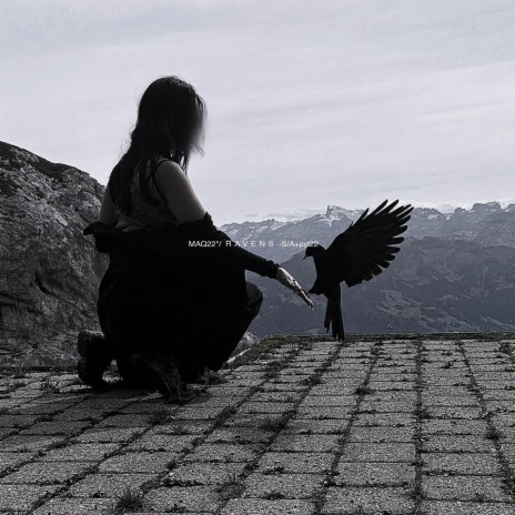 ravens | Boomplay Music