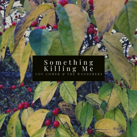 Something Killing Me | Boomplay Music