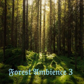 Relaxing Forest Ambience 2