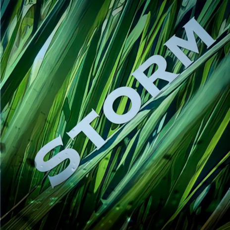 Storm ft. Grayson Kay & JackSon | Boomplay Music