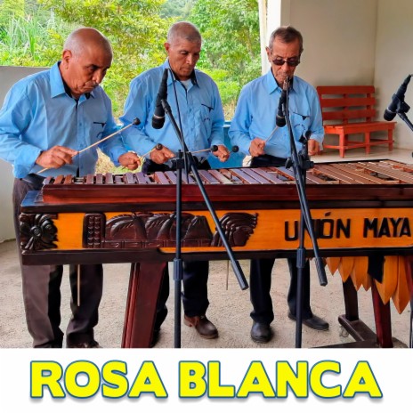 Rosa Blanca | Boomplay Music