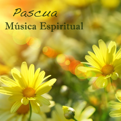 Inner Peace (Musicas Religiosas) | Boomplay Music