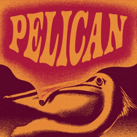 Pelican | Boomplay Music