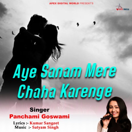 Aye Sanam Mere Chaha Karenge | Boomplay Music