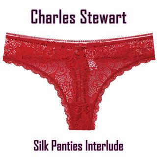 Silk Panties Interlude