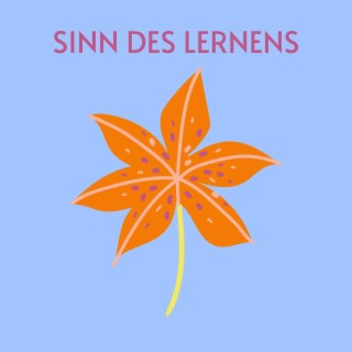 Sinn des Lernens