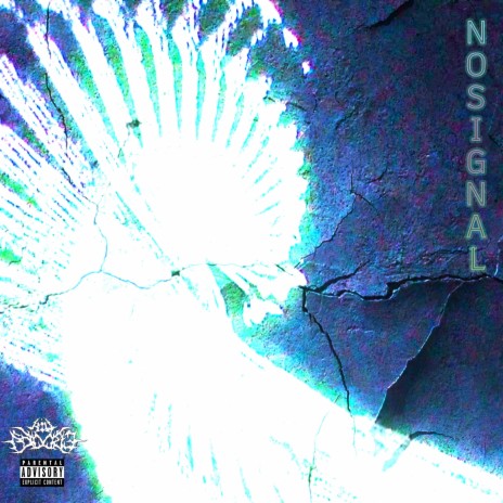 NoSignal