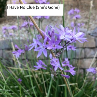 I Have No Clue (She's Gone) lyrics | Boomplay Music