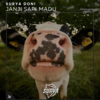 Surya Doni