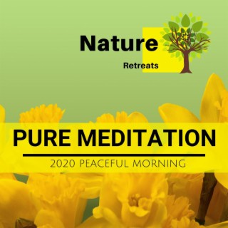 Pure Meditation - 2020 Peaceful Morning