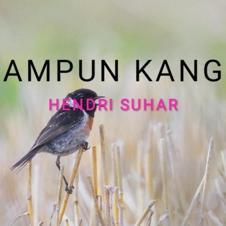 Ampun Kang | Boomplay Music