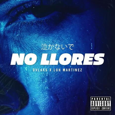 NO LLORES ft. 2hsm & Luh Martinez | Boomplay Music