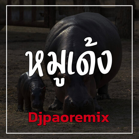 หมูเด้ง | Boomplay Music